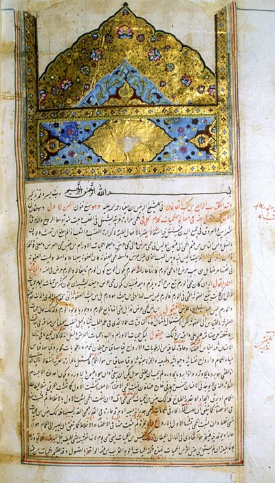 İbn Sînâ'nın Tıbbın Kanûnu (el-Qānūn fī at-Ṭibb) adlı eserinden bir sayfa by School Iranian