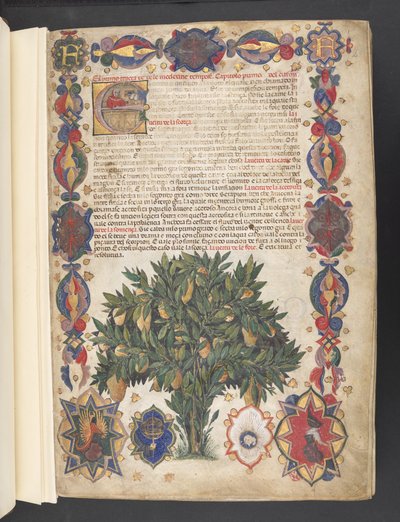 Egerton 2020 f.4r Hanedan süslemeli ve tarihselleştirilmiş ilk 