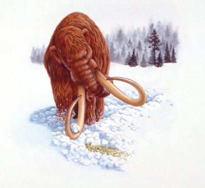 Karda yiyecek arayan mamut, Pliyosen/Pleistosen dönemi (renkli taş) by School Italian