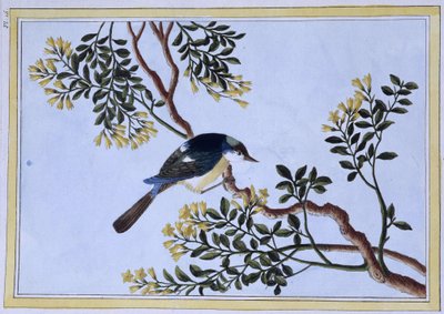 Kuş - Japonca baskı by Japanese School
