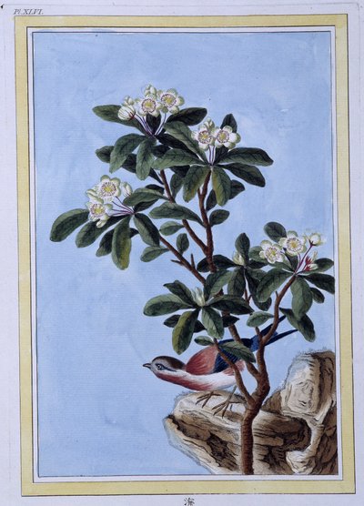 Kuş - Japonca baskı by Japanese School
