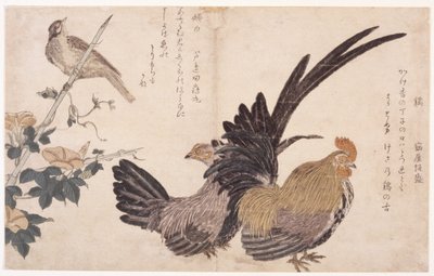 horoz, tavuk ve kuş by School Japanese