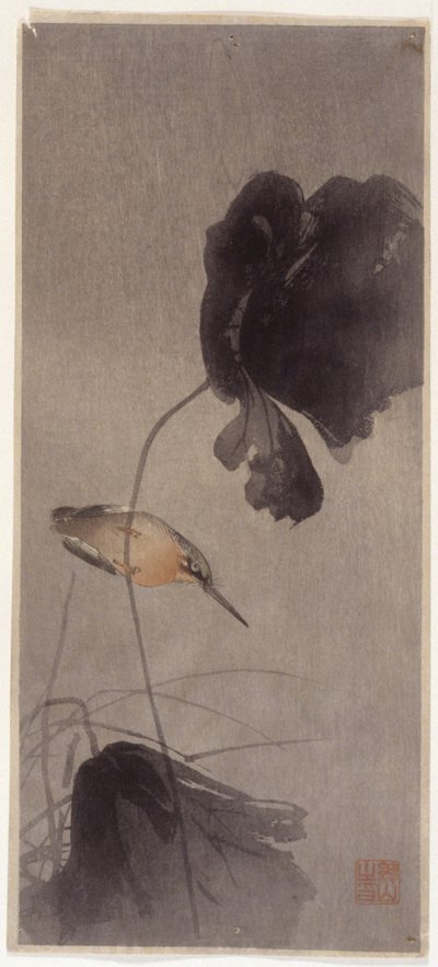 yalıçapkını by School Japanese