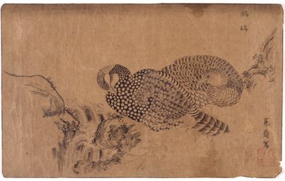 Iki kuş by School Japanese