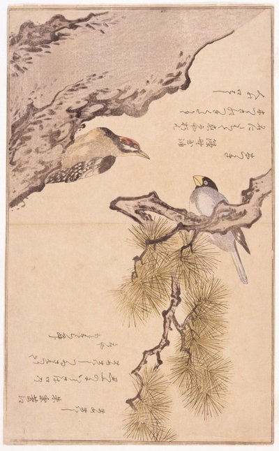 Bir Ağaçta İki Kuş by School Japanese