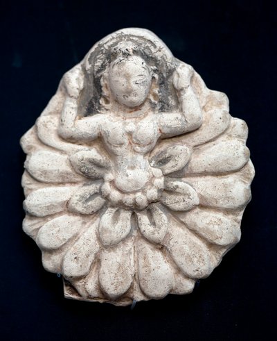 Bir nilüferin rönesansı. Oyma motifli, tarihsiz. Kore Ulusal Müzesi, Seul (Güney Kore). by School Korean