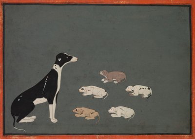 Yavrulu köpek, 1780 civarı (kağıt üzerine mürekkep ve opak suluboya) by School Mughal