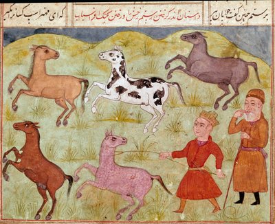 İslam Sanatı: Bir lord ve çiftlik çocuğu, vahşi atları kementle yakalar. Firdevsi (Firdevsi veya Ferdawsi veya Firdousi, yaklaşık 940-1020 civarı) Biblioteca Nazi