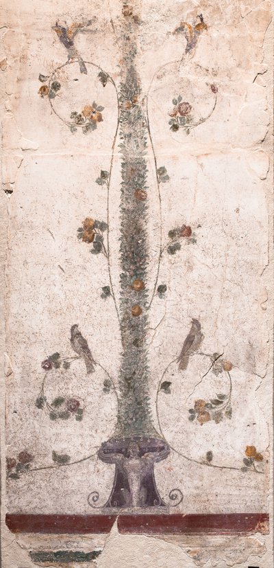 Kuşlar ve meyveler by School Roman