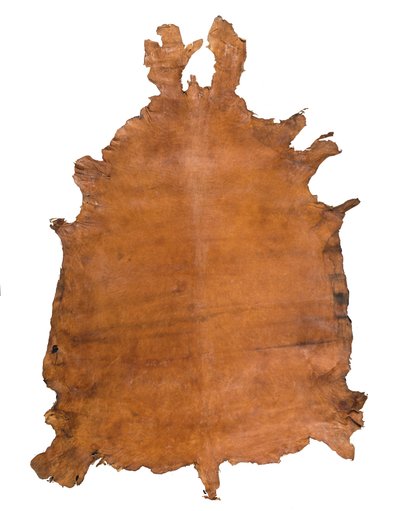 Hayvan Postu, c. 1786 (deri) by School Russian
