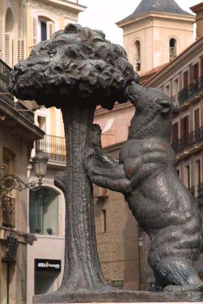 Madrono