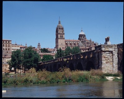 Nehir, Tormes ve katedral üzerindeki Roma köprüsünün görünümü by School Spanish