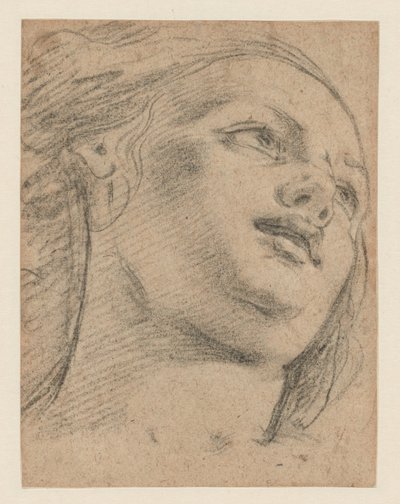 Sağa Bakarak Kadın Baş Çalışması (rekto); Bir Nesneyi Destekleyen İki Figürün İncelenmesi (versi) by School of Guido Reni