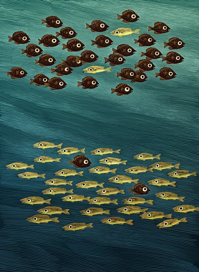 Balık, 2010 (karalama tahtası, dijital olarak renklendirilmiş) by Scott McKowen
