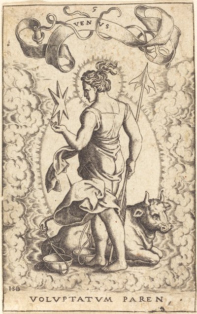 Venüs by Sebald Beham