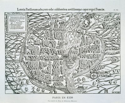 Paris şehir planı c.1530 (ahşap oyma) by Sebastian (after) Münster