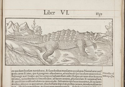 Kozmografi, Fol 1137, 1544 by Sebastian Munster