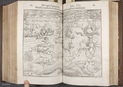 Kozmografi, Fol 852-853, 1544 by Sebastian Munster
