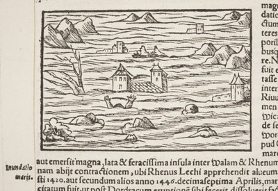 Cosmographia, Fol 516'nın detayı by Sebastian Munster