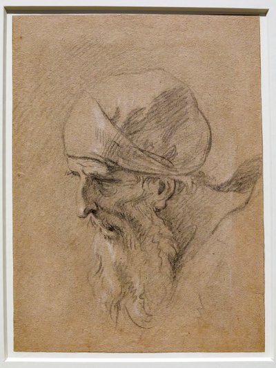 Yaşlı Bir Adamın Başı by Sebastiano Ricci
