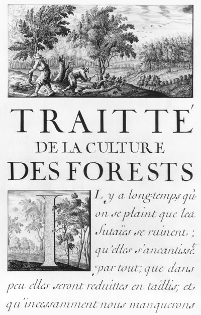 Ms 260 tome IV Frontispiece of 