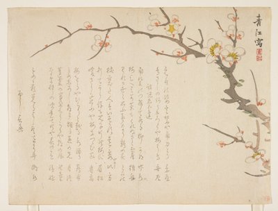 Çiçekli erik, Ocak 1837 (renkli tahta baskı) by Seik Hashimoto