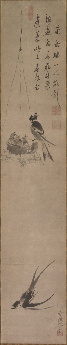 Kırlangıçlar, 1600