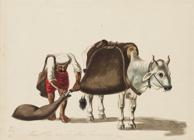 Su taşıyıcı, c1810 by Sewak Ram