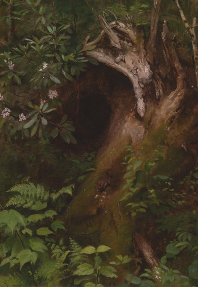 Sincap by Seymour Joseph Guy