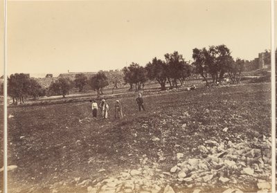 Şehrin Genel Görünümü & c. kuzeyden by Sgt. James M. McDonald