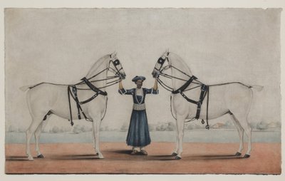 İki Arabalı Atı Tutan Bir Syce (Damat), c.1845 (kağıt üzerine opak sulu boya) by Shaik Muhammad Amir of Karraya (attr. to)