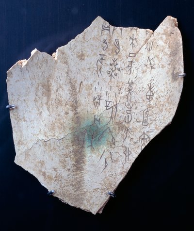 Bir öküz kürek kemiği üzerindeki piktogram, tehlikeyi savuşturmak için bir ritüel (kemik) by Shang Dynasty Chinese School