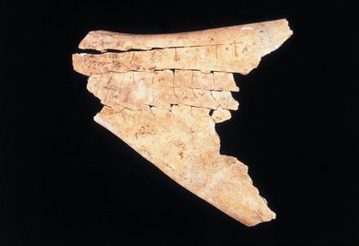 Bir öküz kürek kemiği üzerindeki piktogram, tehlikeyi savuşturmak için bir ritüel (kemik) by Shang Dynasty Chinese School