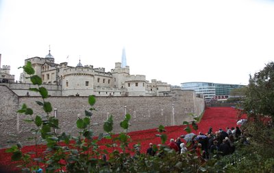 Kanlı Topraklar ve Kızıl Denizler, Londra Kulesi, 2014. by Sheldon Marshall