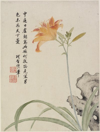 On Yapraklı Bir Çiçek Albümünden Day-Lily, 1656 (kağıt üzerine mürekkep ve renk) by Shengmo Xiang