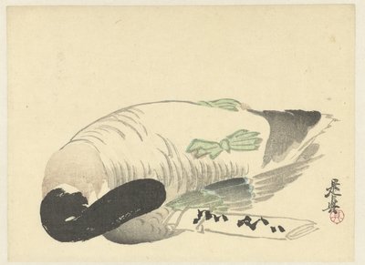 Katlanmış mektubun yanında ölü ördek by Shibata Zeshin