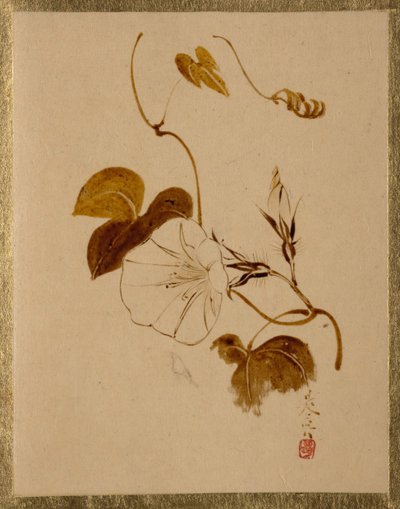 Gündüzsefası. by Shibata Zeshin