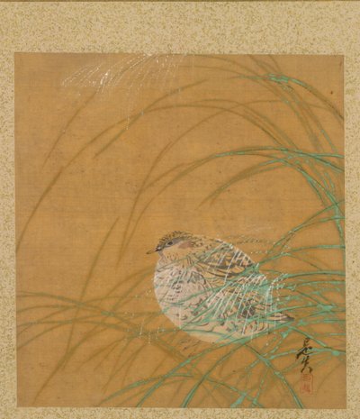 Saygıdeğer Zeshin'in Resim Albümünden Çimlerde Bıldırcın by Shibata Zeshin
