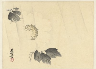 Yağmurda beyaz şakayık by Shibata Zeshin