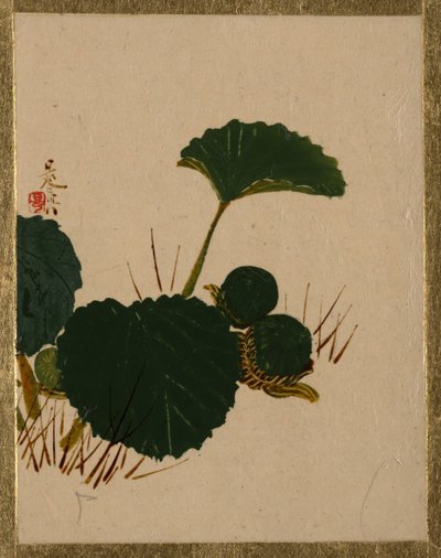 Yeşil Yapraklı Bitkide Solucan. by Shibata Zeshin