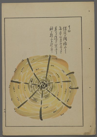 Shimizu Seifu