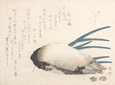 Spring Rain Koleksiyonu Harusame shu, vol. 1: Ördek ve Yeşil Soğan, 1810