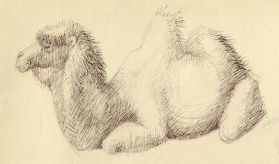 Deve, c1951. by Shirley Markham