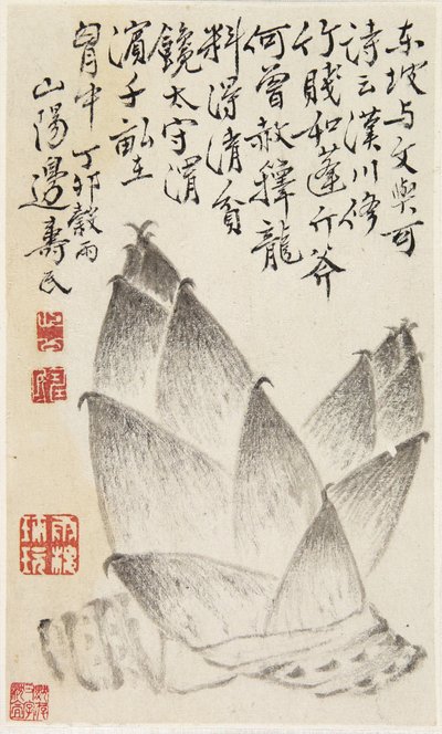 Bamboo Shoots, bir sebze albümünden (kağıt üzerine mürekkep) by Shou min Pien