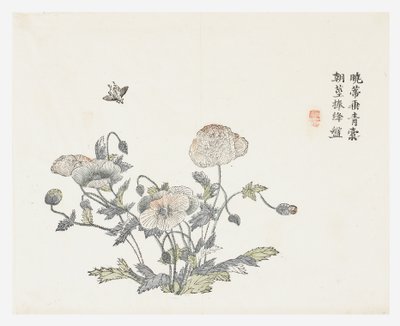 Hardal Tohumu Bahçesi by Shun Kung Chien