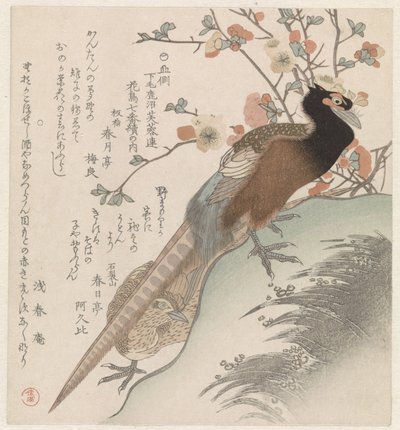 Bir çiçek dalı için sülün Shimotsuke Eyaletinden Kanuma Fuyôren Şiir Topluluğu için yedi kuş ve çiçek resmi (dizi adı) Yamagawa Shimotsuke Kanuma Fuyôren kachô shichiban tsuzuki no uchi (nesne üzerinde seri başlığı) by Shunman