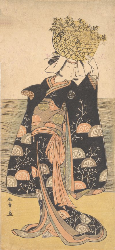 Shiragiku