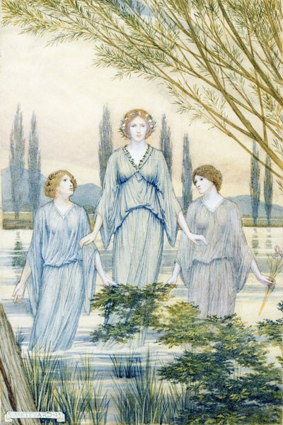 su perileri by Sidney Meteyard