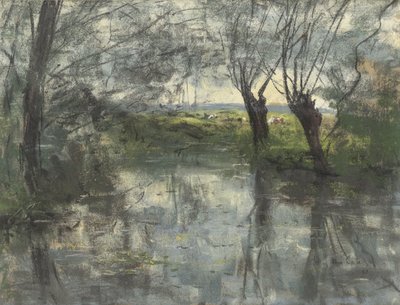 Bosvijver by Siebe Johannes ten Cate