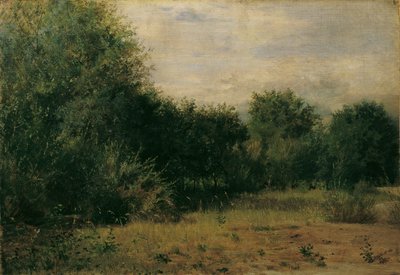 peyzaj çalışması by Sigmund L